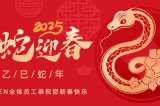 辭舊迎新，蛇舞華章丨深圳容金科技全體員工祝您新春快樂！